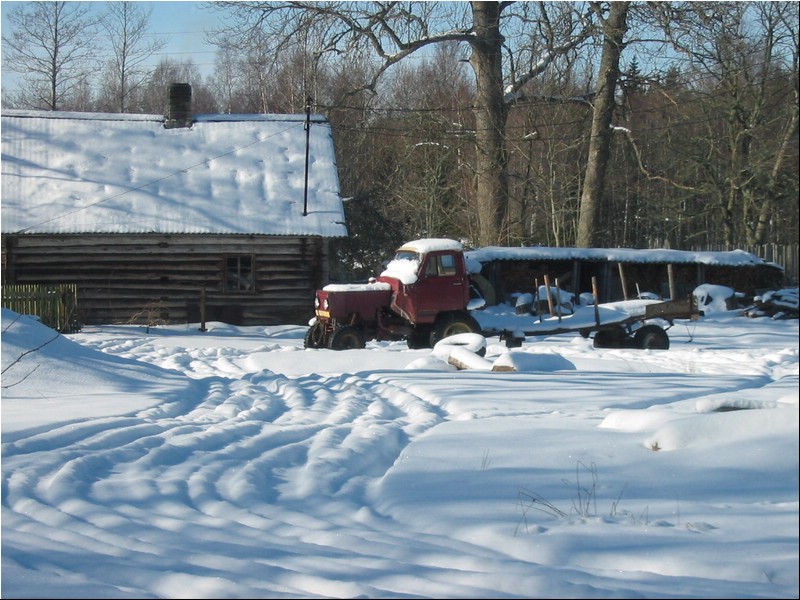 IMG_7883.JPG