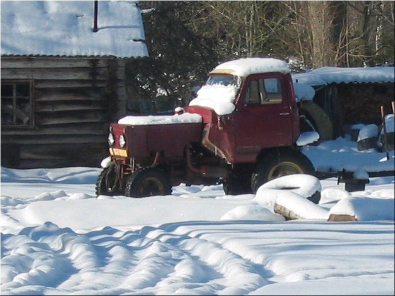 IMG_7884.JPG