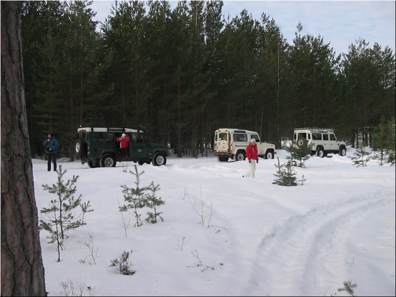 IMG_7979.JPG
