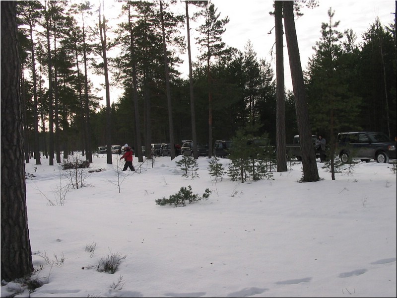 IMG_7980.JPG