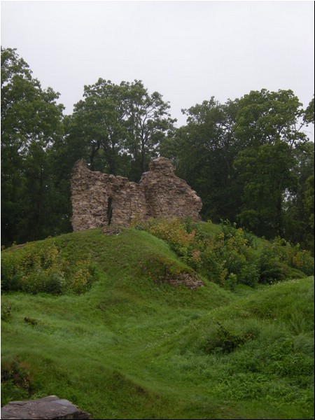 Dscn0310.jpg