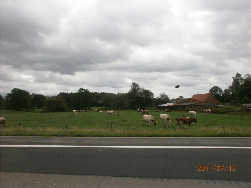 Eurotrip & LRO Billing 2011 712.jpg