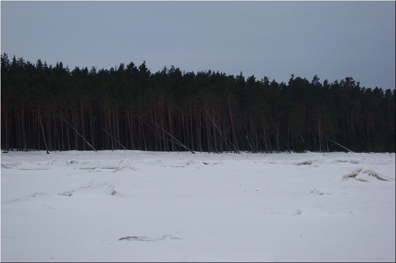 DSC02092.JPG