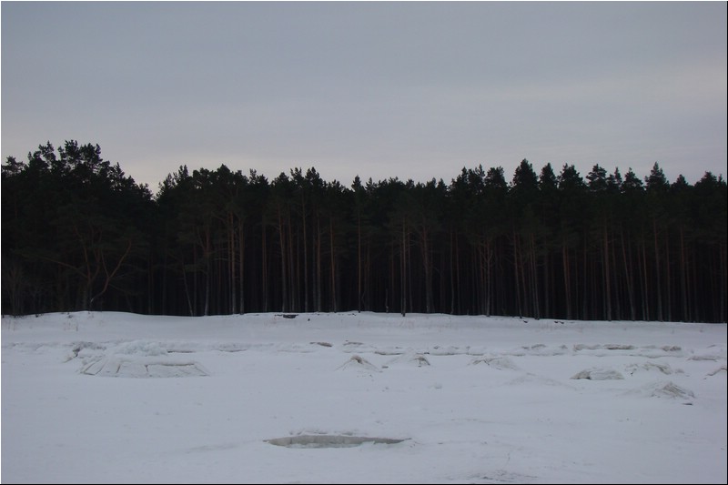 DSC02096.JPG
