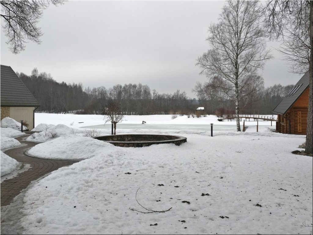 IMG_20190210_094745.jpg